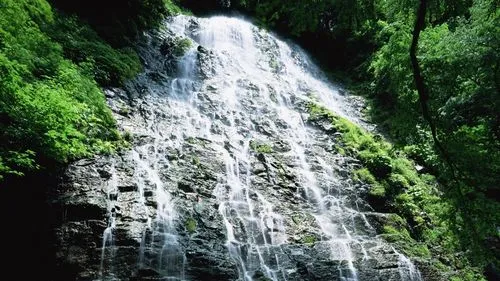 节能信息化智能化